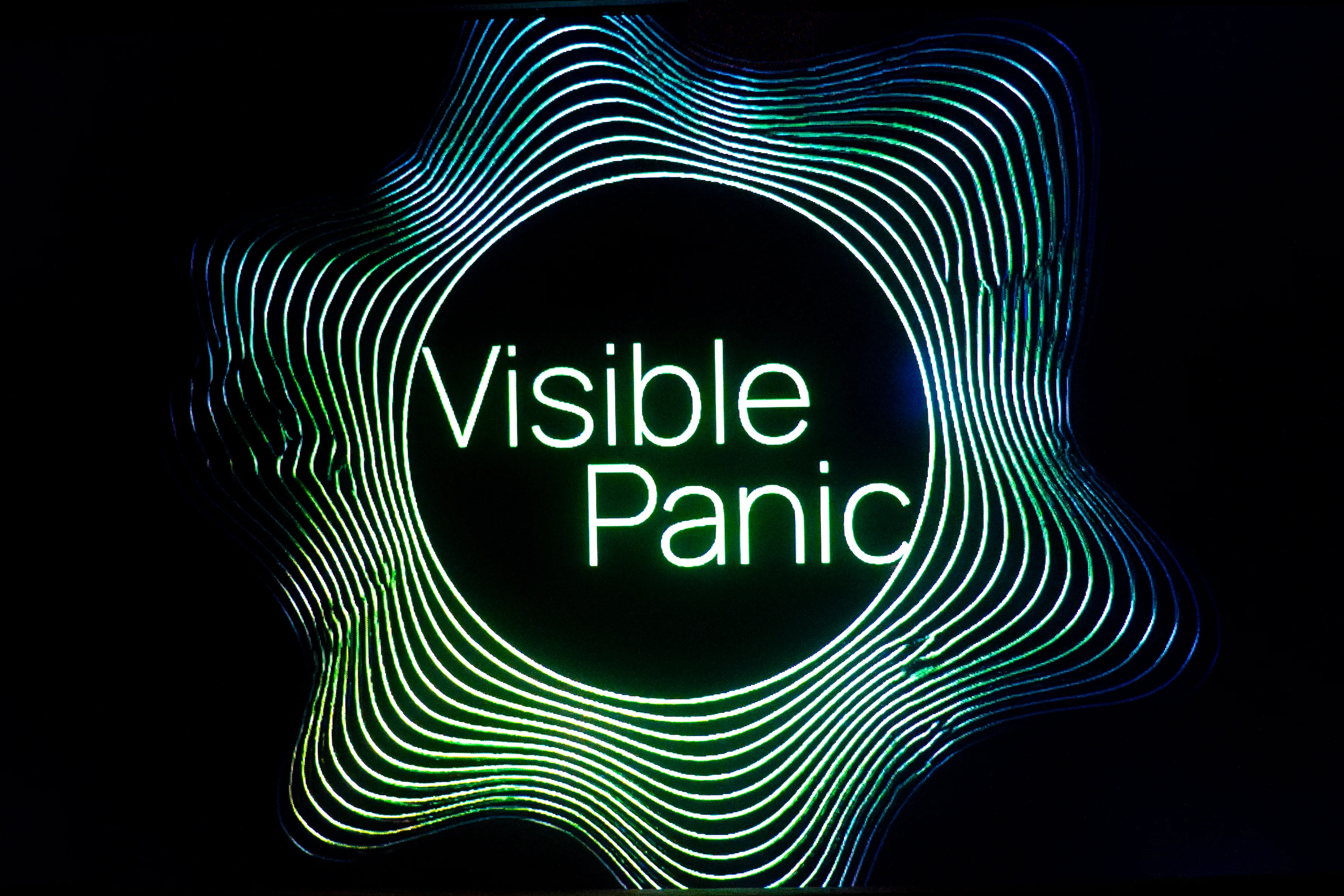 Visible Panic 06.02.26 photo 21