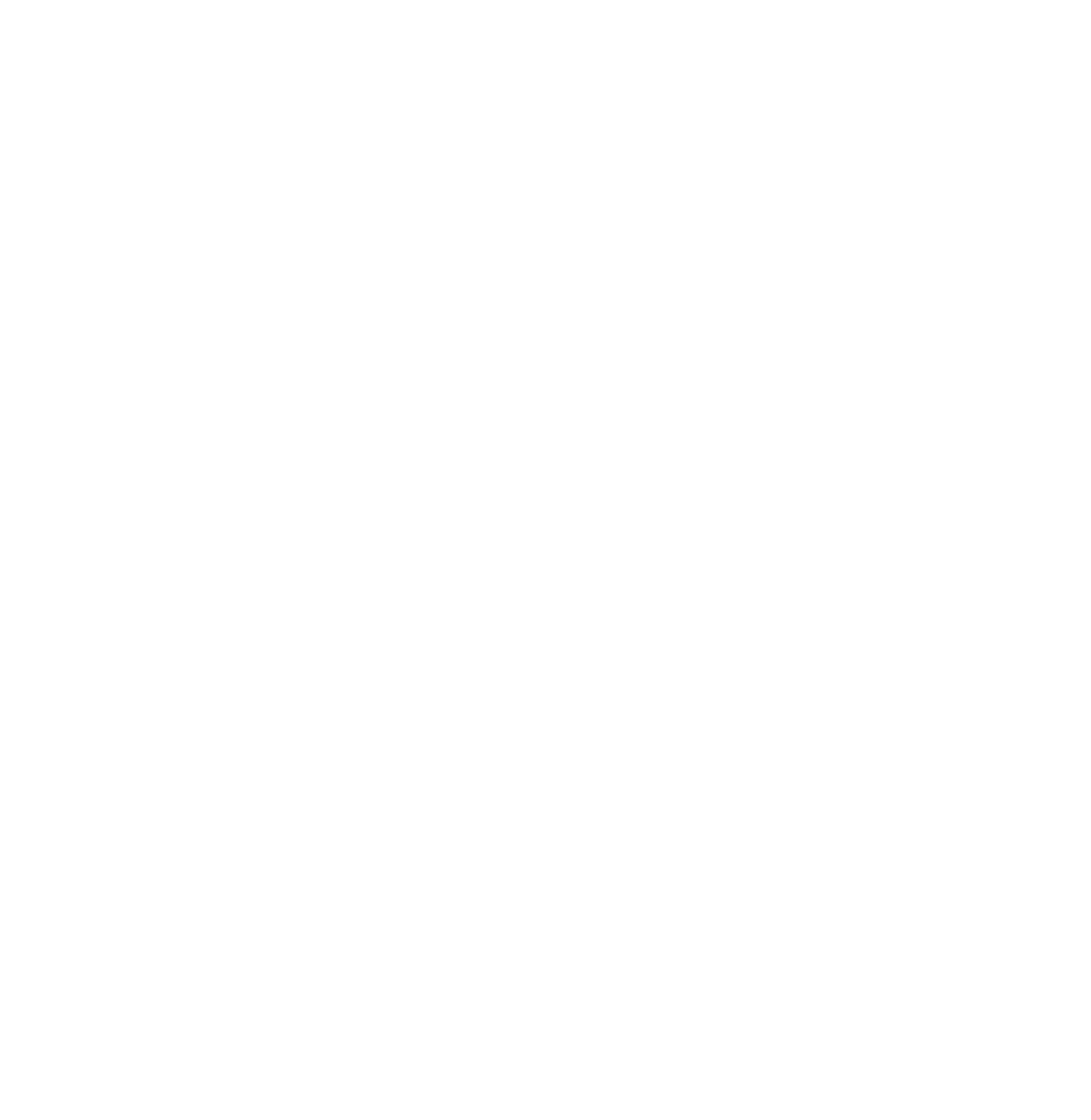 Visible Panic Logo