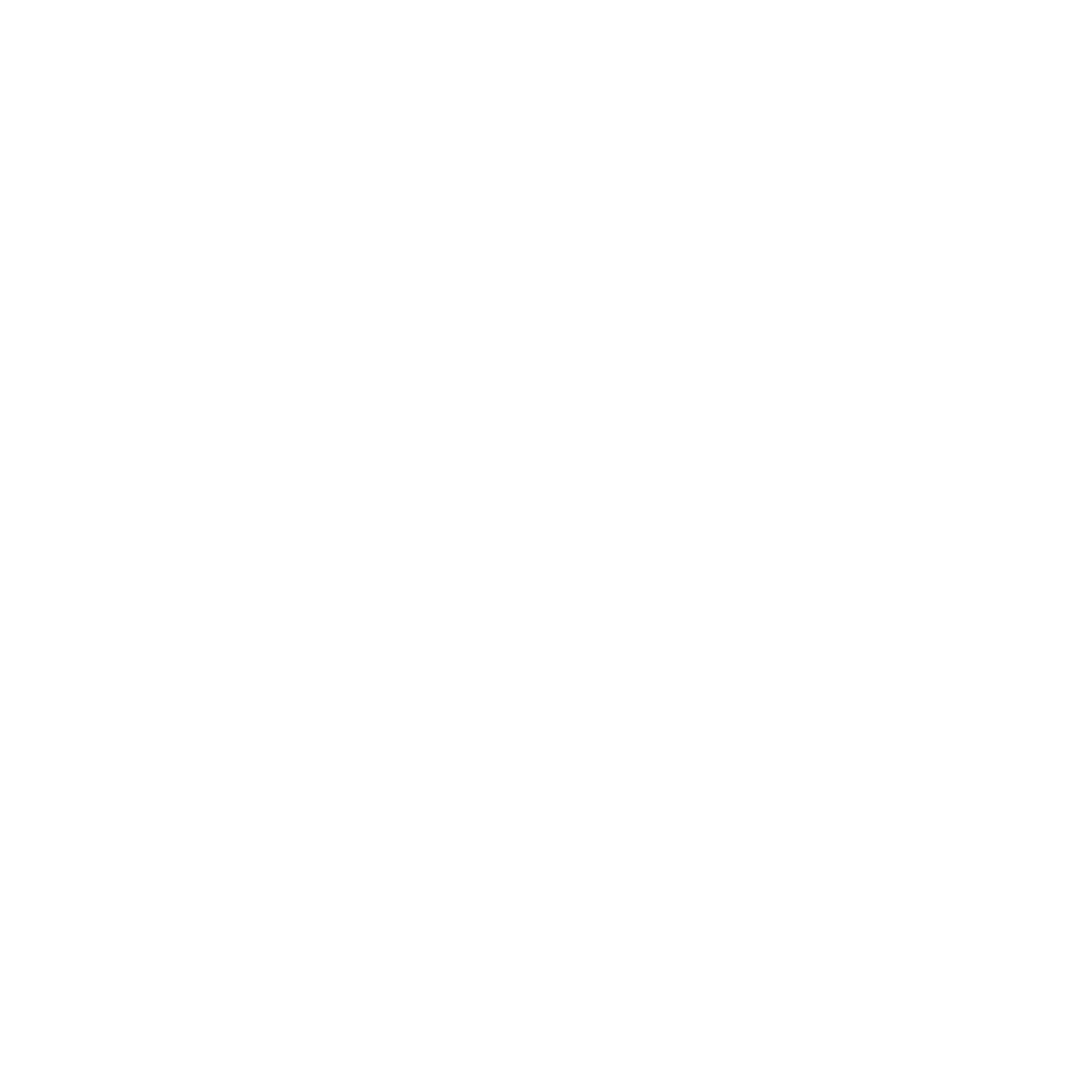 Visible Panic Logo